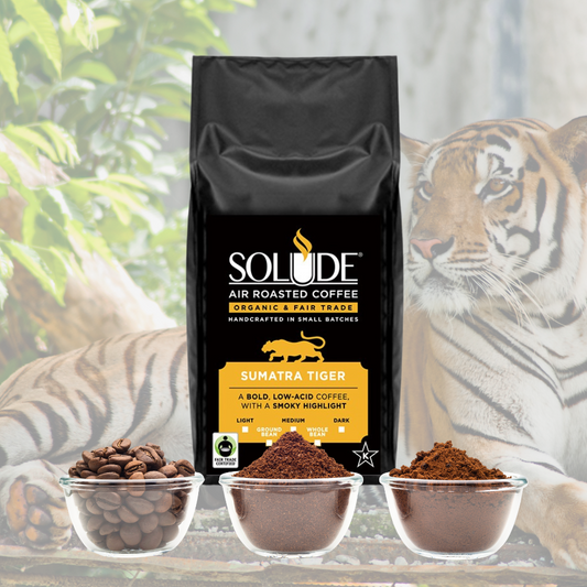 Sumatra Tiger