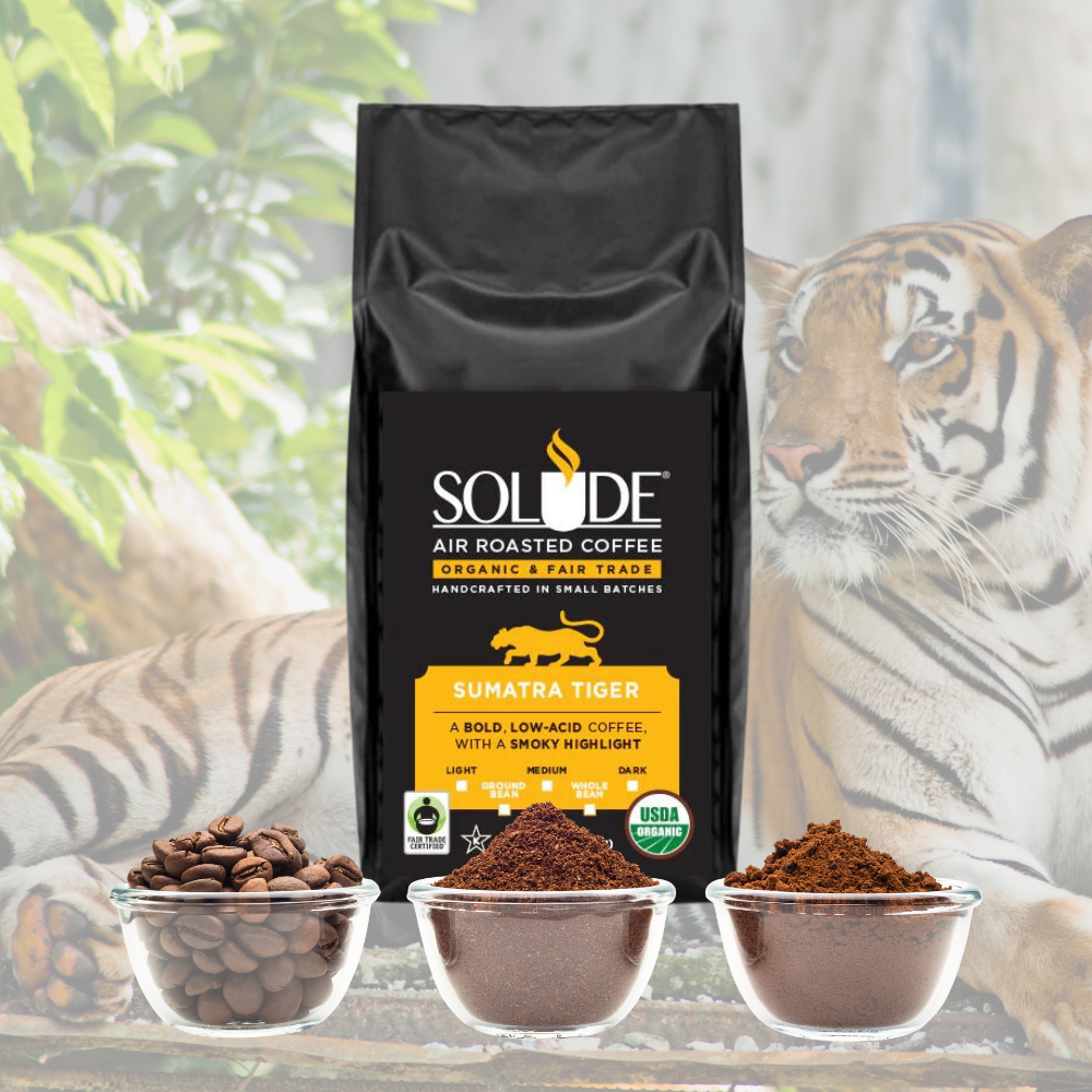 Sumatra Tiger