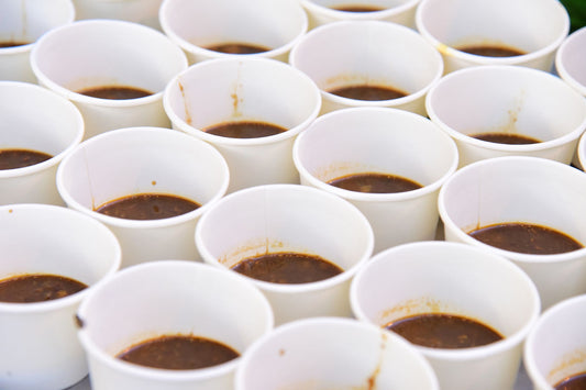 What the Roaster Sees in a Cupping Session That You Can Taste at Home Too