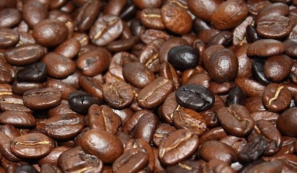 Why Your Coffee Tastes Burnt and Nobody in the Industry Will Admit It's Their Fault