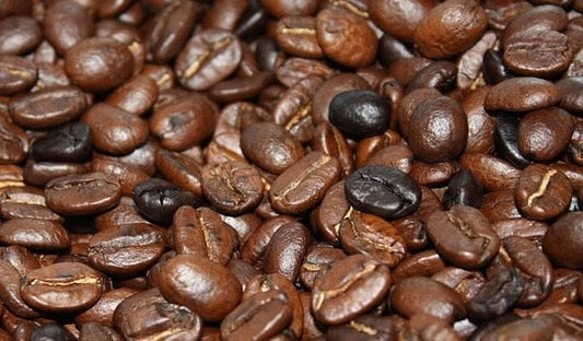 Why Your Coffee Tastes Burnt and Nobody in the Industry Will Admit It's Their Fault