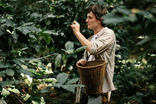 What the Fair Trade and Direct Trade Labels Really Mean for the Coffee in Your Cup