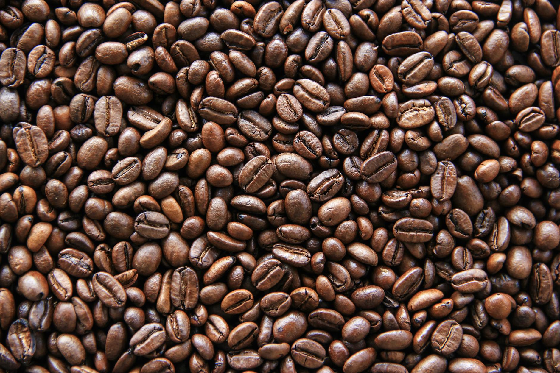 The Hidden Reason Dark Roast Has Less Caffeine Than You Think – SOLUDE ...