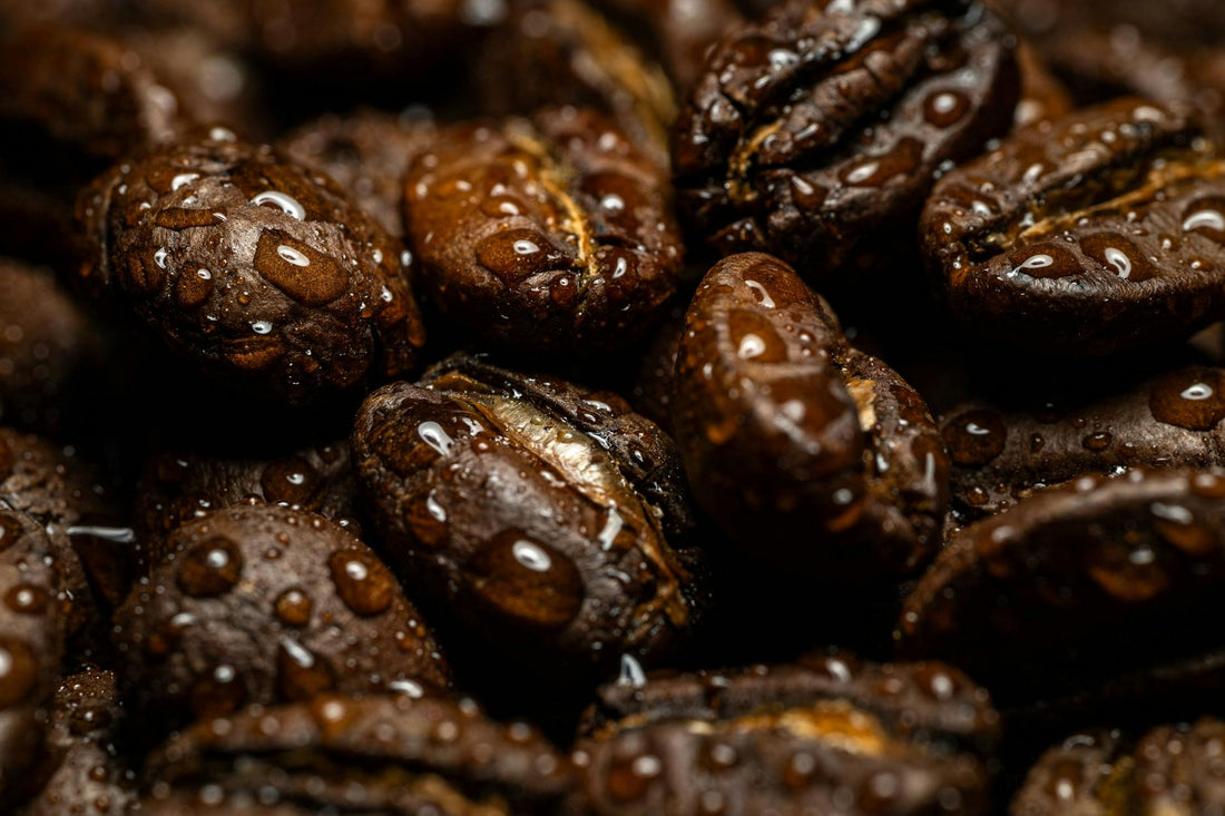Why Dark Roast Erases the Origin Character You Paid Extra to Taste