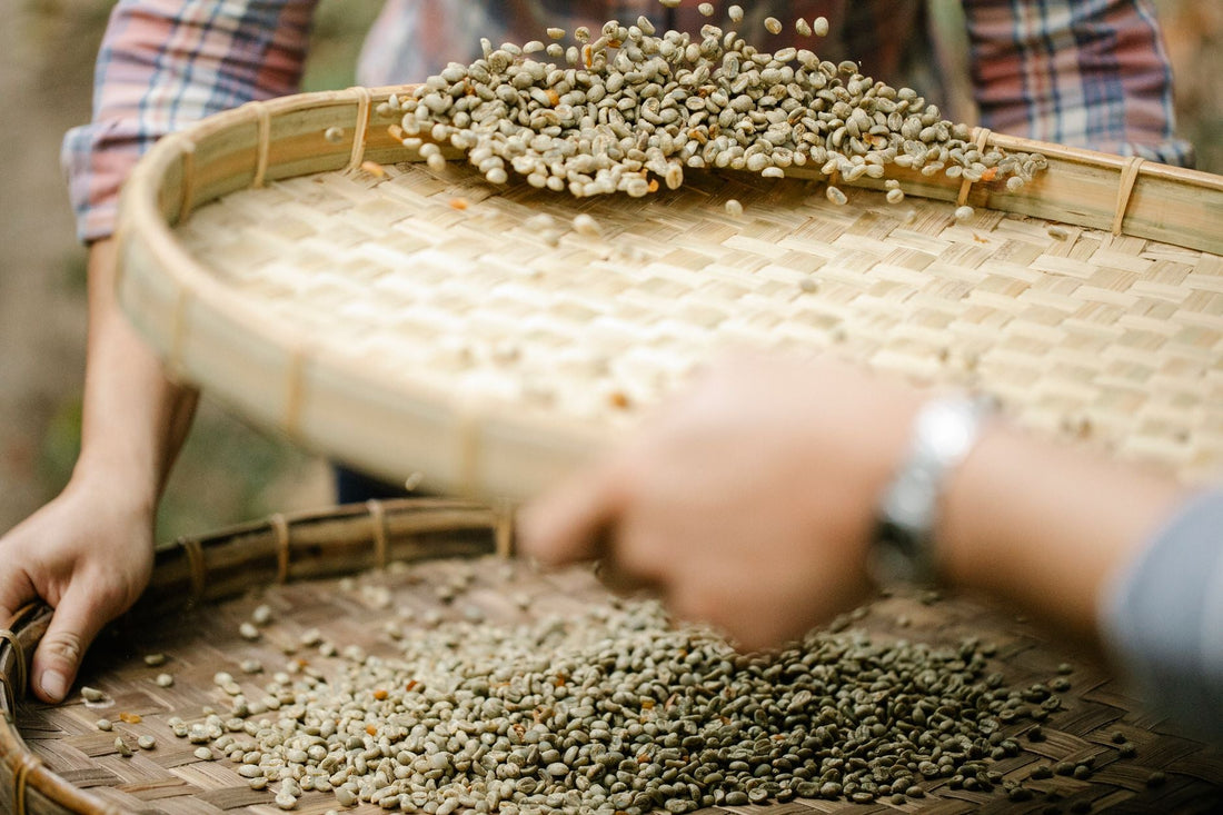 What the Density of a Green Bean Predicts About How It Should Be Roasted
