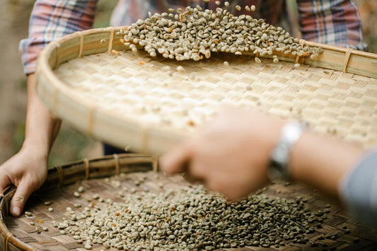 What the Density of a Green Bean Predicts About How It Should Be Roasted