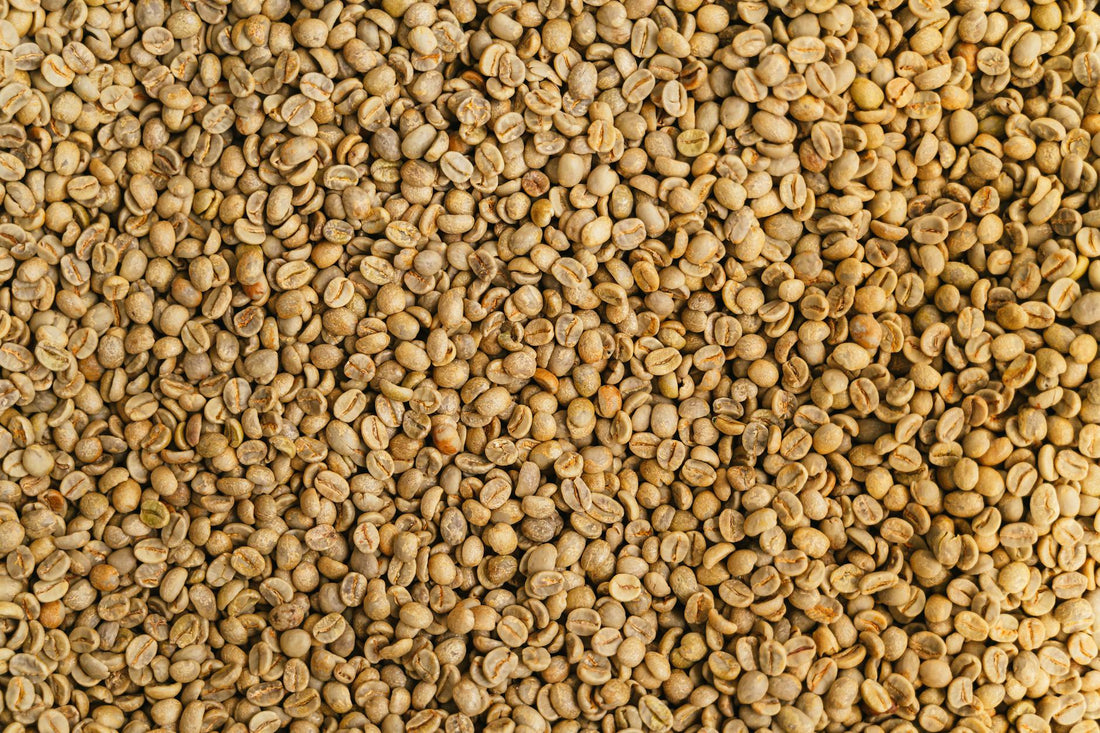 What Happens to Coffee Beans Inside a Drum Roaster That Nobody Wants to Show You