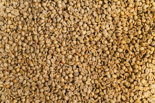 What Green Coffee Smells Like and Why Roasters Trust Their Nose First