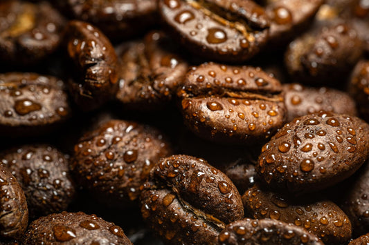 Why Oily Beans Are a Sign of Age, Not Freshness, in Most Bags