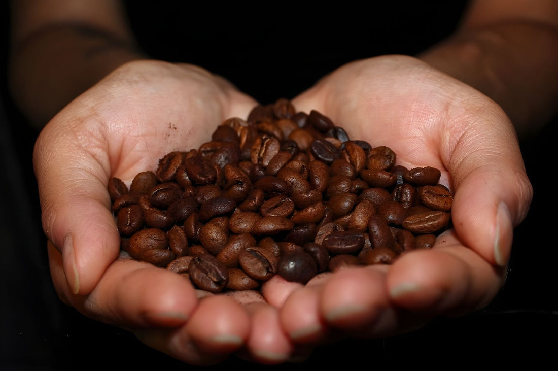 Arabica and Robusta Are Not Two Grades of the Same Bean, They Are Two Different Plants