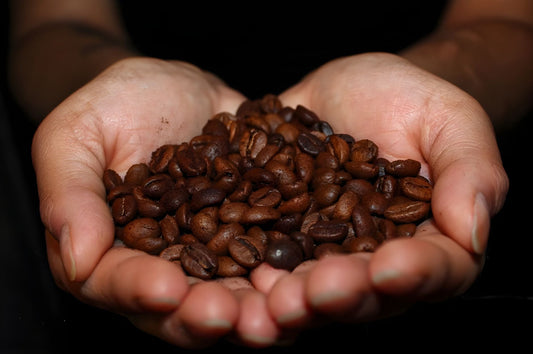 Arabica and Robusta Are Not Two Grades of the Same Bean, They Are Two Different Plants