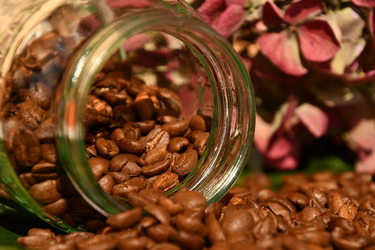 The Smoke You Smell During Drum Roasting Is Going Directly Into Your Coffee
