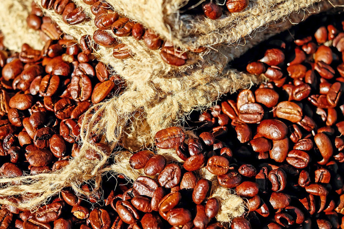 Why the Coffee You're Buying at the Grocery Store Was Roasted Months Before You Touched It