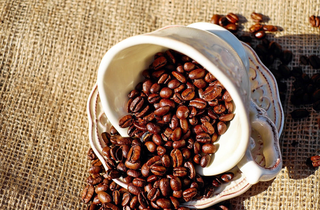 What the Coffee Industry Calls 'Acceptable' Flavor Loss Would Shock Most Daily Drinkers
