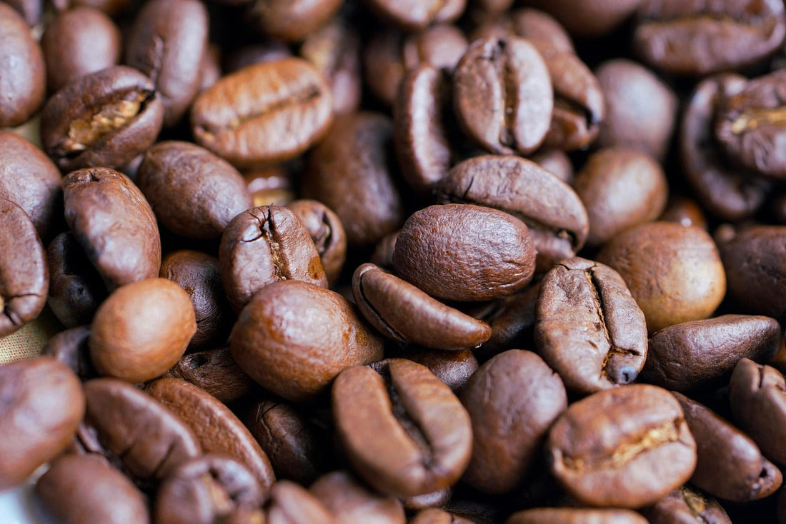 Why Fair Trade Coffee and Organic Coffee Are Not the Same Thing (And You Need Both)