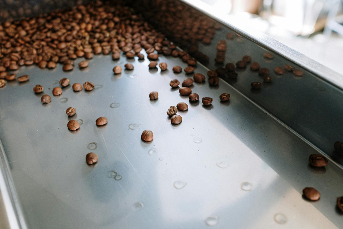 Air-Roasted vs Drum-Roasted: What No One Tells You