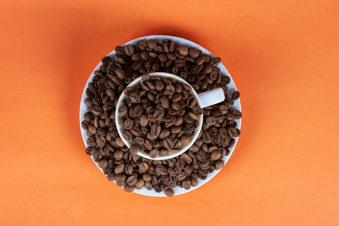 Burnt Coffee Became the Background Noise of Your Morning