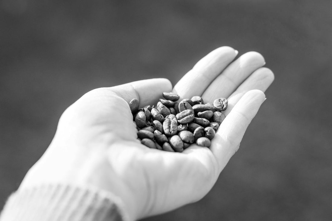Top 5 Coffee Brewing Methods Ranked for Air-Roasted Beans