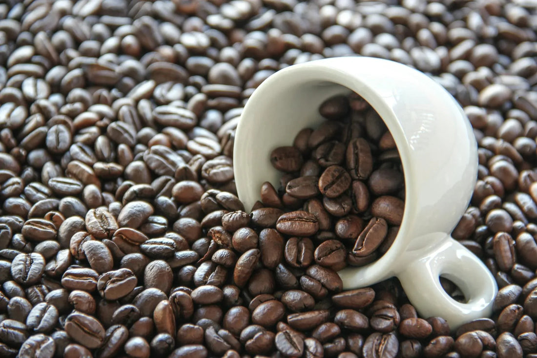 Why the Burn You Taste in Dark Roast Isn't Flavor, It's a Mistake