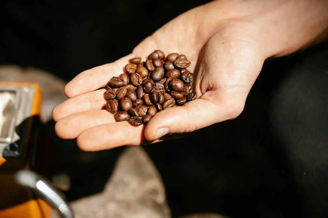 Why the Bitterness in Your Coffee Is a Roasting Problem, Not a Brewing Problem