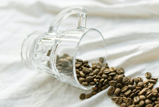 Why Air-Roasted Coffee Tastes Cleaner and Fresher