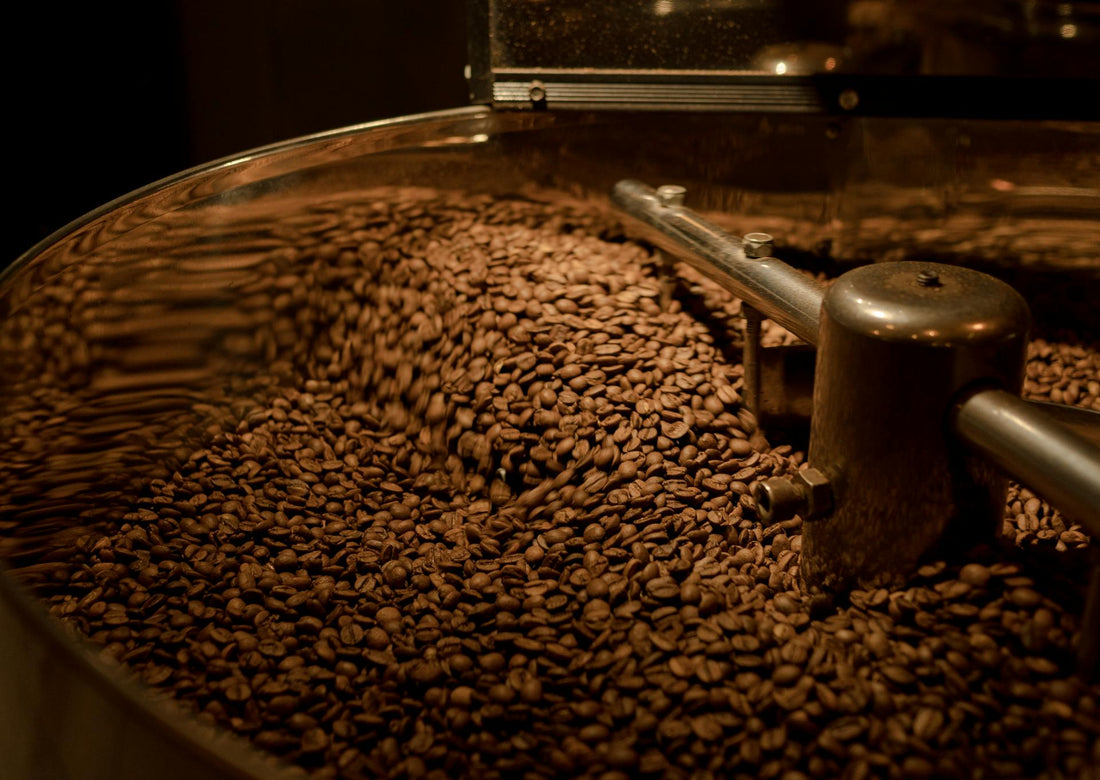 Air Roasted vs Drum Roasted: What No One Tells You