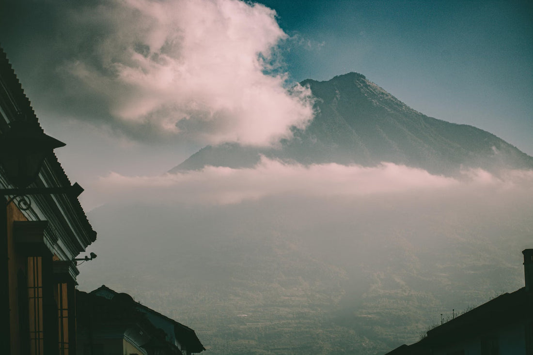 What Guatemalan Coffee Tastes Like And Why Volcanic Soil Shows Up In The Cup