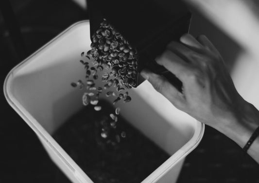 Why Roasters Blend Before the Roast Sometimes and After It Other Times