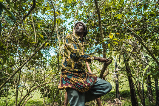 What Rwandan Coffee Tastes Like and Why the Potato Defect Haunts the Region