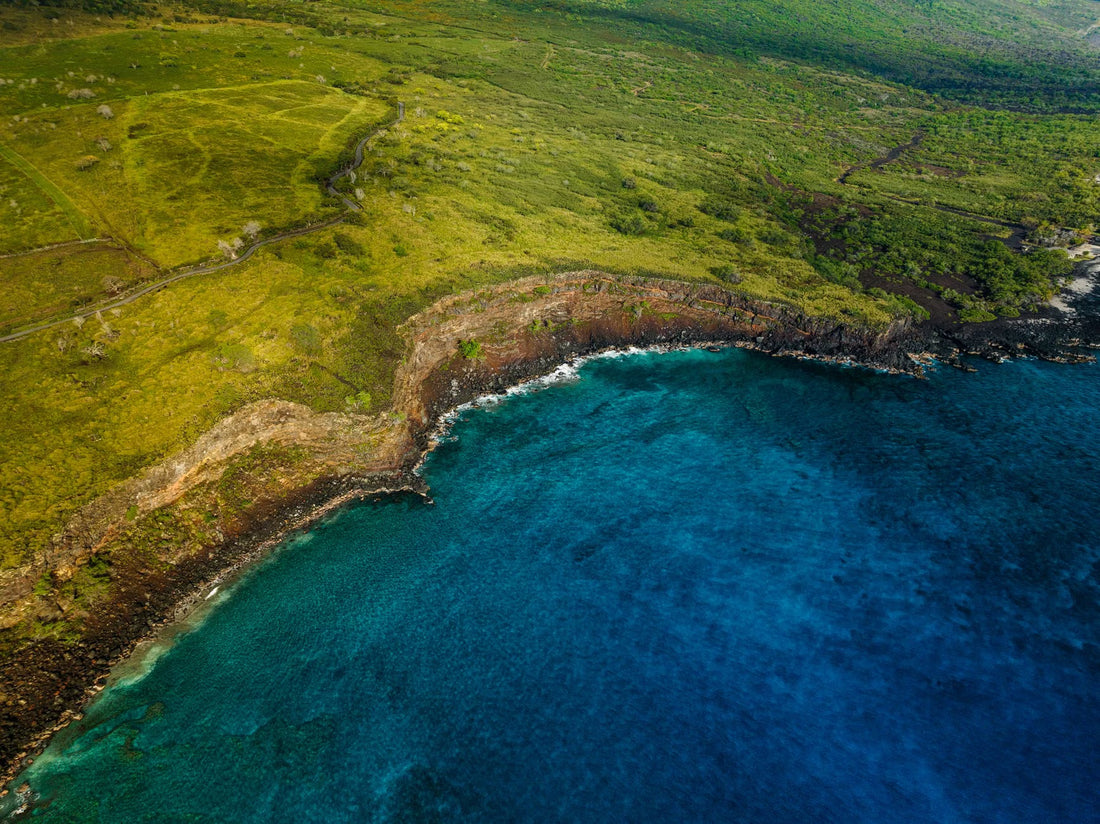 What Kona Coffee Is And Why A Kona Blend Can Be Only Ten Percent Kona