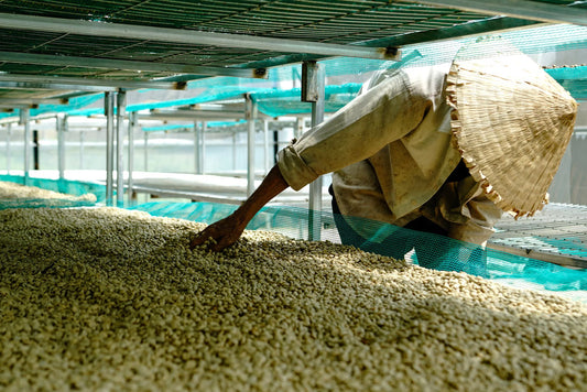 Why Coffee Loses Weight In The Roaster And Where Those Grams Actually Go