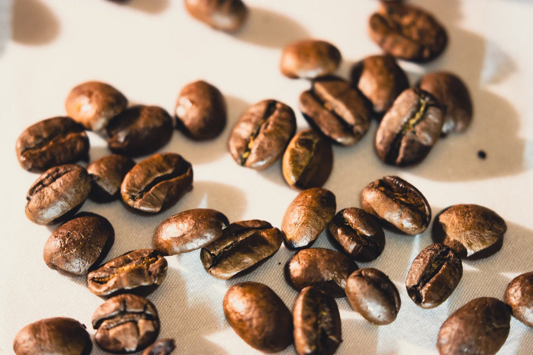 Why Freezing Your Beans Works When Refrigerating Them Never Will