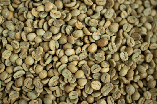 What Pacamara Coffee Is And Why Its Beans Grow So Large