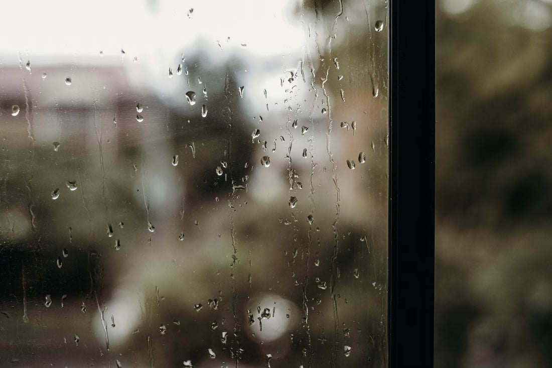 Why a Roaster Changes the Profile When the Weather Changes