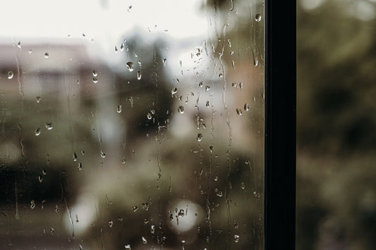 Why a Roaster Changes the Profile When the Weather Changes