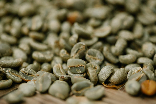 Why Moisture and Water Activity Decide Which Green Coffee a Roaster Buys