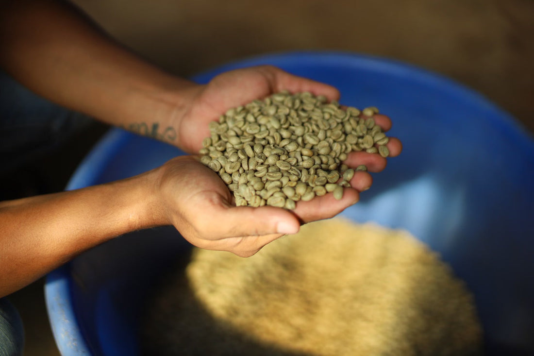 What Happens In The Drying Phase Of A Roast Before Anything Turns Brown