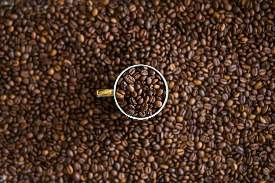Why Bitter Coffee Is Not Bold Coffee and the Industry Wants You to Confuse the Two