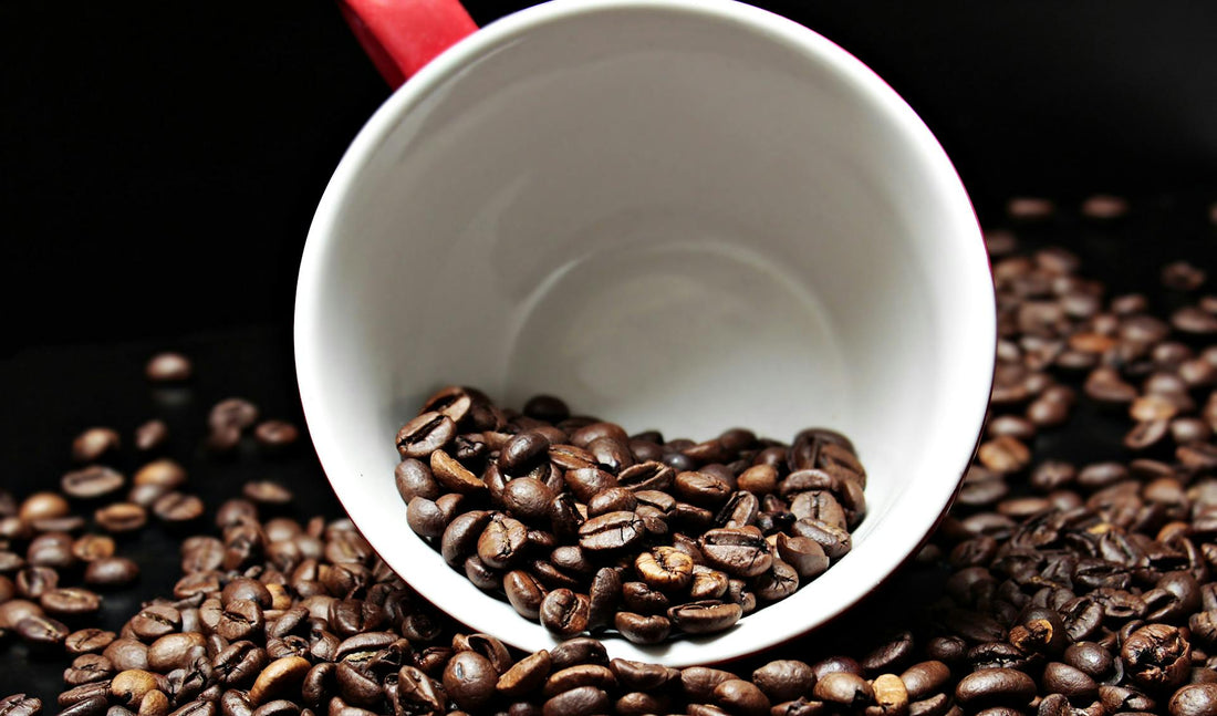 What If Your Coffee Was Actually Fresh?