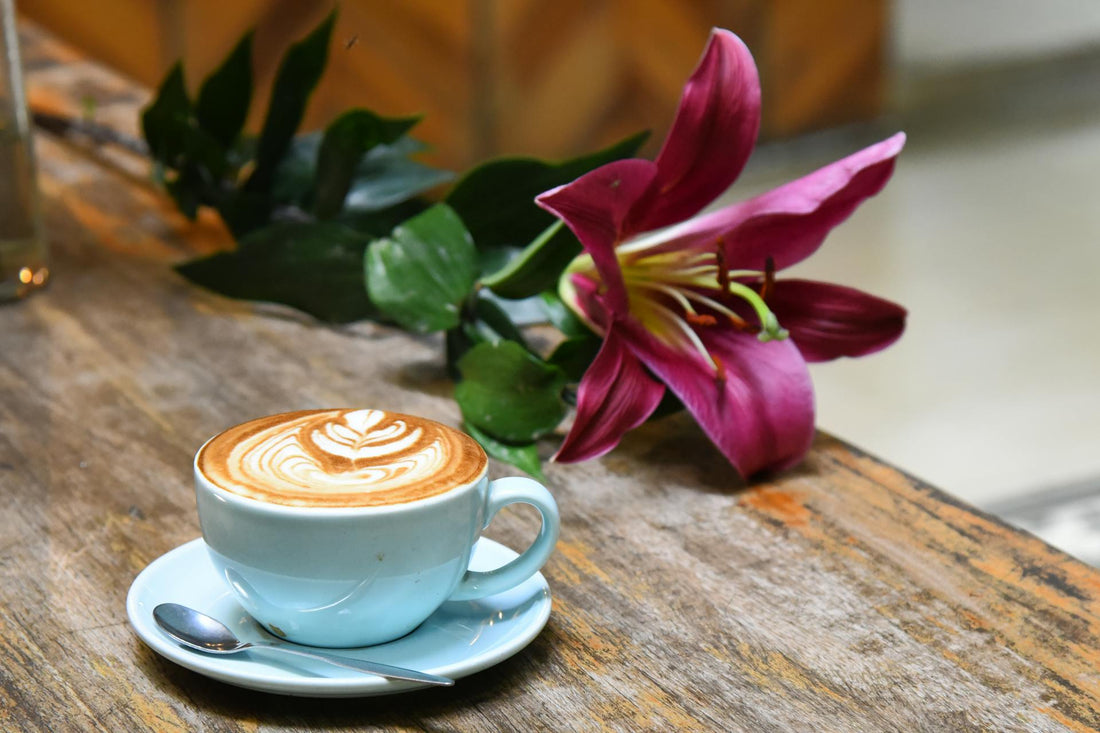 What Coffee Should Taste Like (If You’ve Only Ever Had the Burnt Stuff)