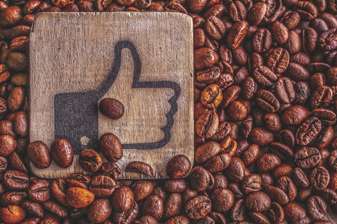 How to Choose the Right Coffee Beans Based on Your Flavor Preferences