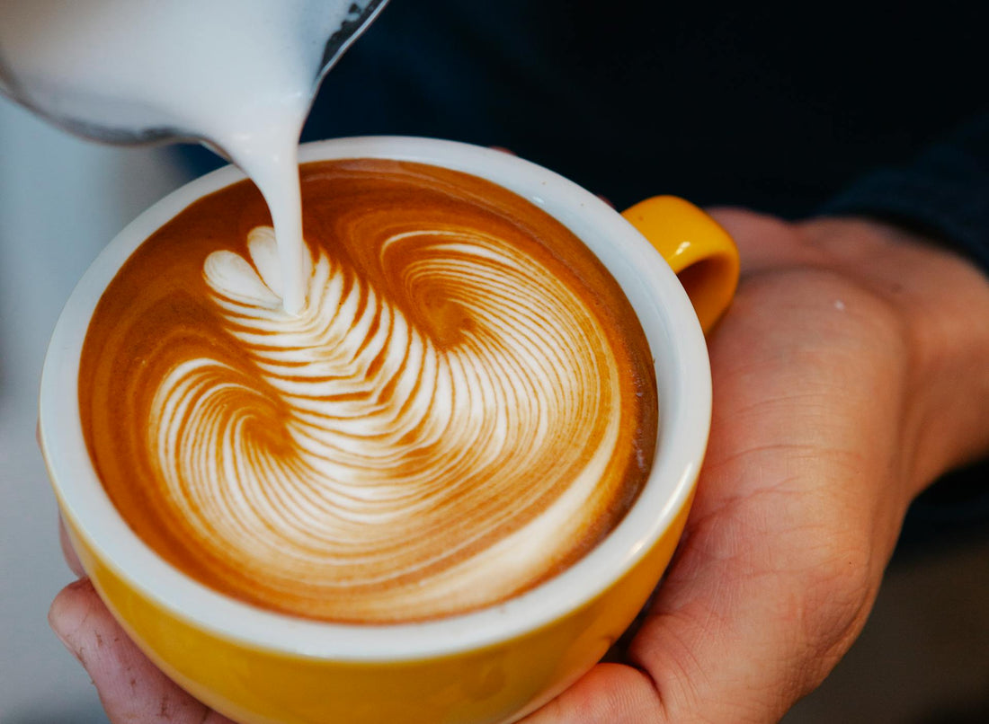 What Baristas Actually Drink (Hint: It’s Not on the Menu)